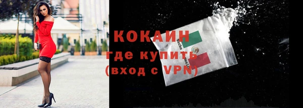 ГАЛЛЮЦИНОГЕННЫЕ ГРИБЫ Белокуриха