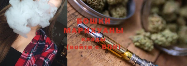 ГАЛЛЮЦИНОГЕННЫЕ ГРИБЫ Белокуриха