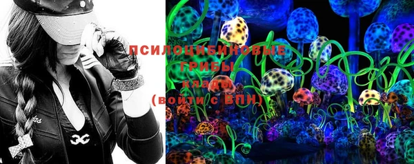 ГАЛЛЮЦИНОГЕННЫЕ ГРИБЫ Белокуриха