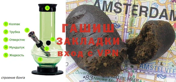 ГАЛЛЮЦИНОГЕННЫЕ ГРИБЫ Белокуриха