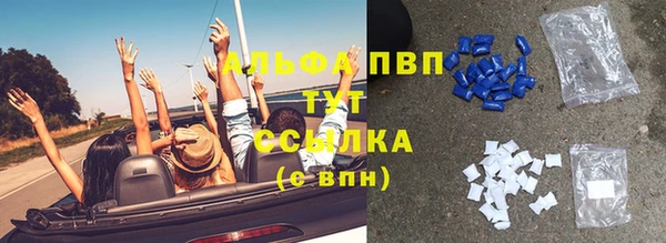 ГАЛЛЮЦИНОГЕННЫЕ ГРИБЫ Белокуриха